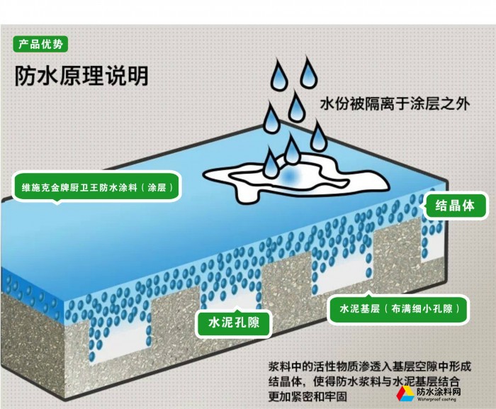 维施克黑豹防水涂料 厨房卫生间防水阳台内外墙面防漏水浆料 