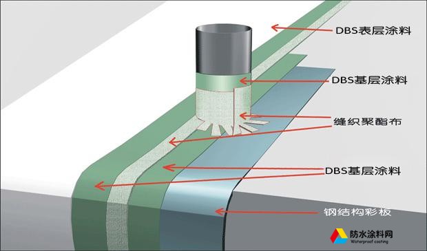 DBS—德邦仕金属屋面防水系统组成结构图