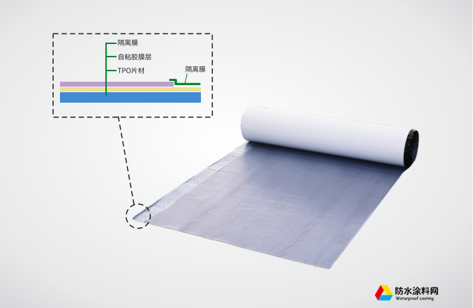 MBP湿铺自粘型TPO防水卷材
