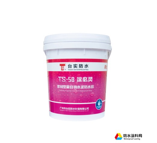 TS-5B 柔韧型聚合物水泥防水胶 ( 涂必灵 )